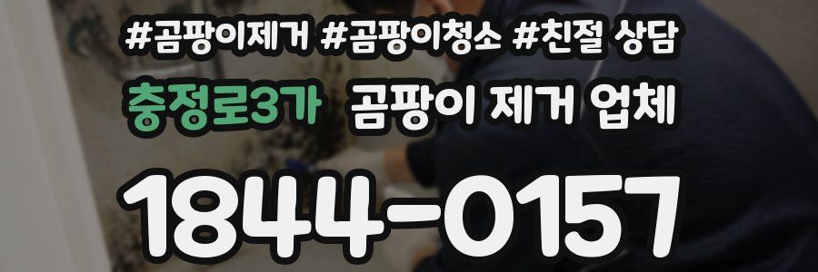 충정로3가 곰팡이 제거 업체