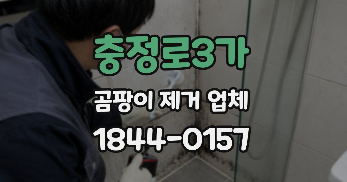 충정로3가 곰팡이 제거 업체