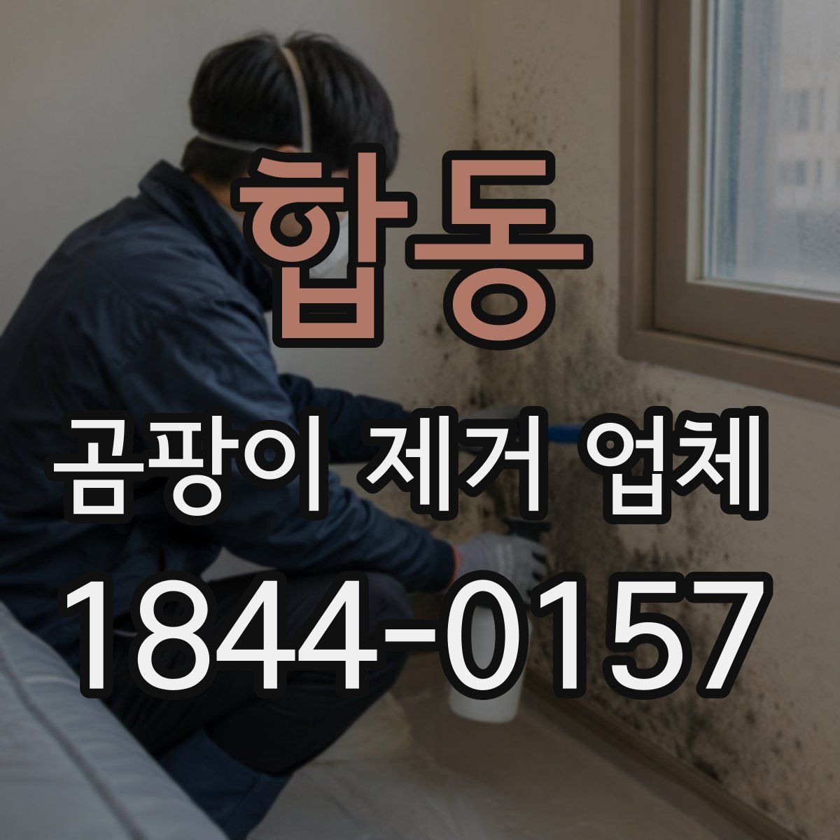 합동 곰팡이 제거 업체