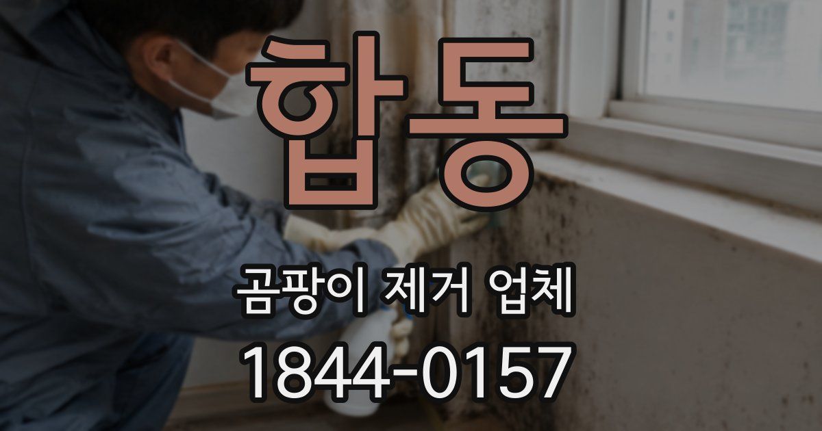 합동 곰팡이 제거 업체