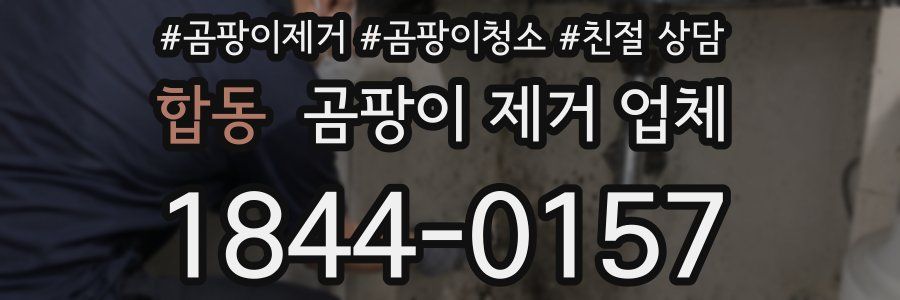 합동 곰팡이 제거 업체