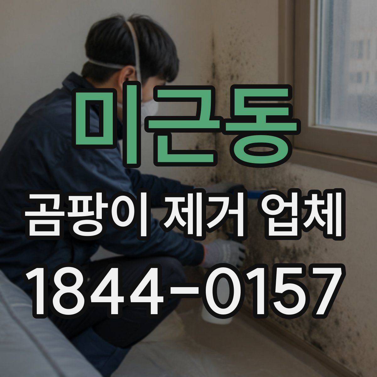 미근동 곰팡이 제거 업체