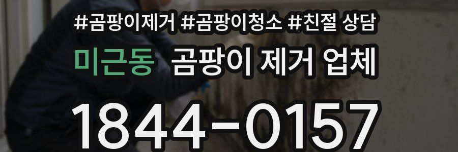 미근동 곰팡이 제거 업체