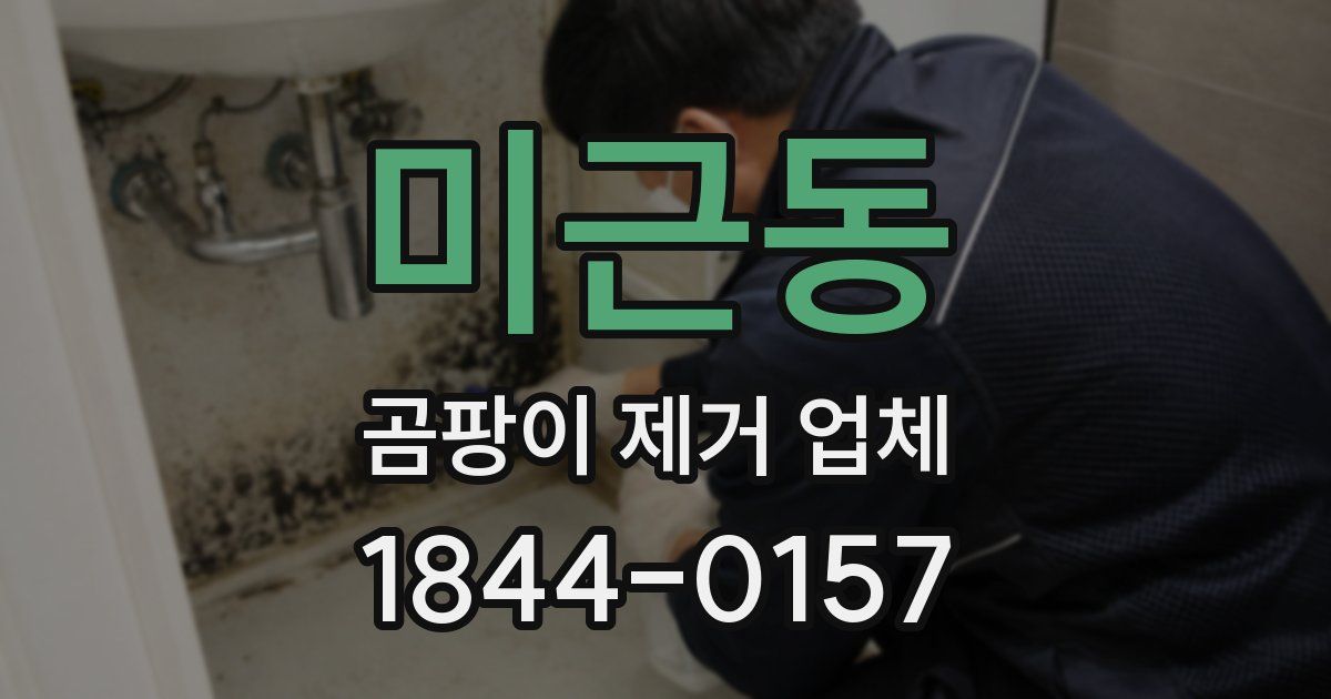 미근동 곰팡이 제거 업체