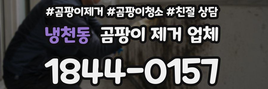 냉천동 곰팡이 제거 업체