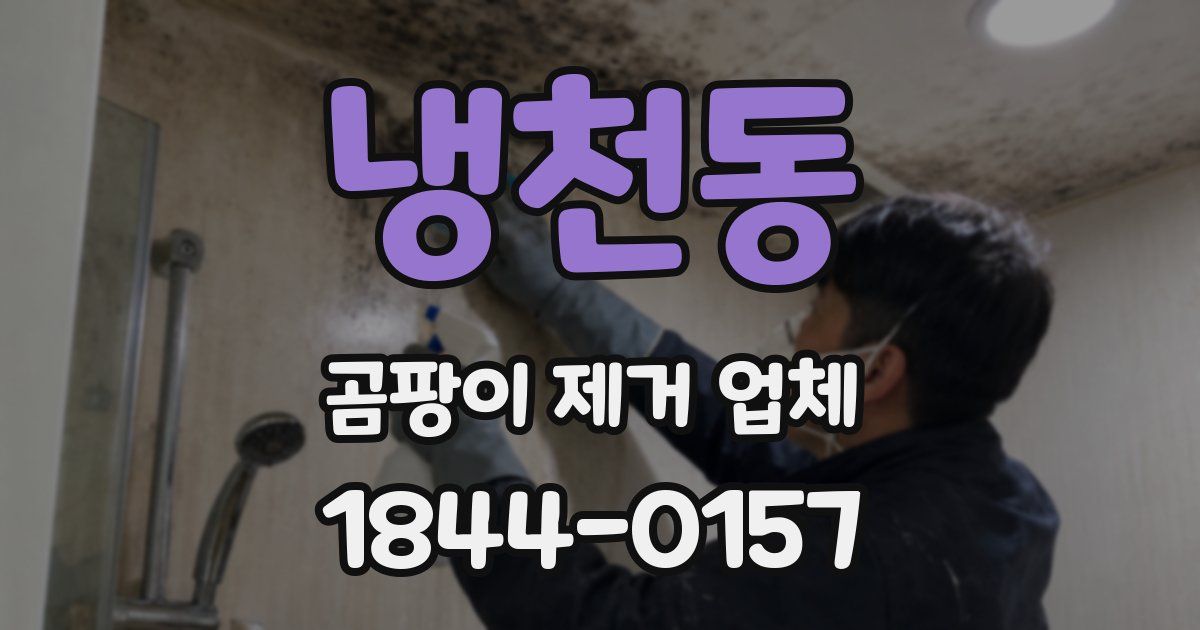 냉천동 곰팡이 제거 업체