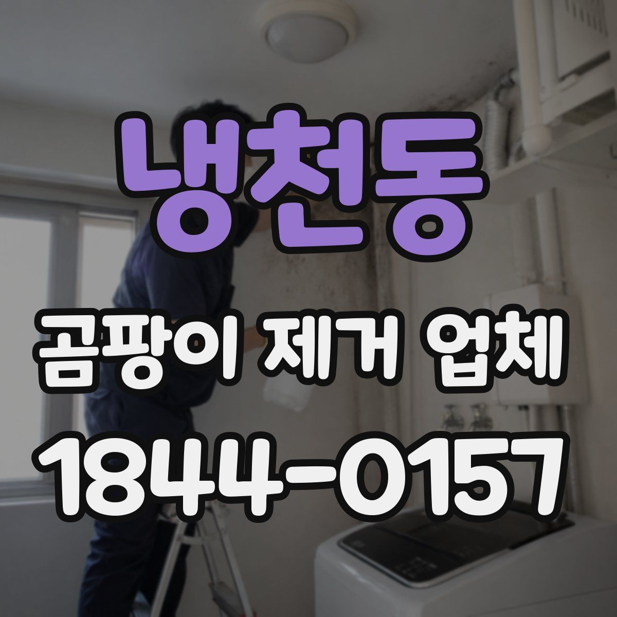냉천동 곰팡이 제거 업체