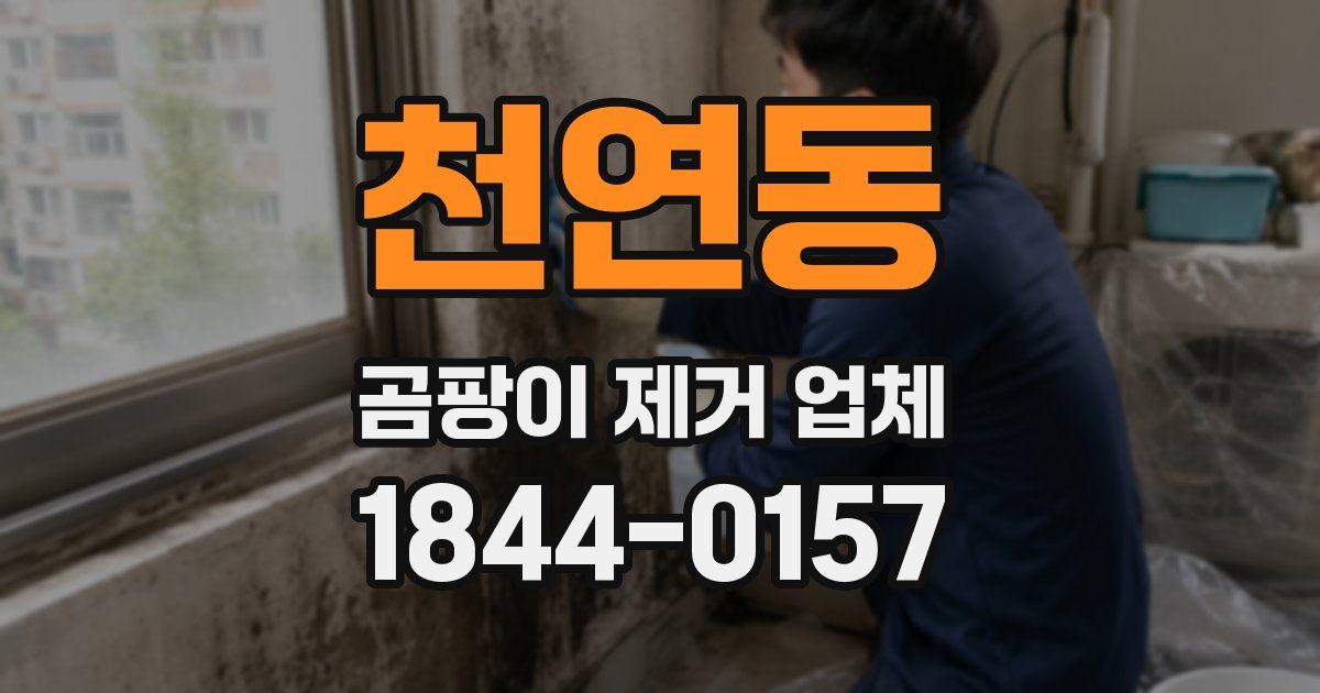 천연동 곰팡이 제거 업체