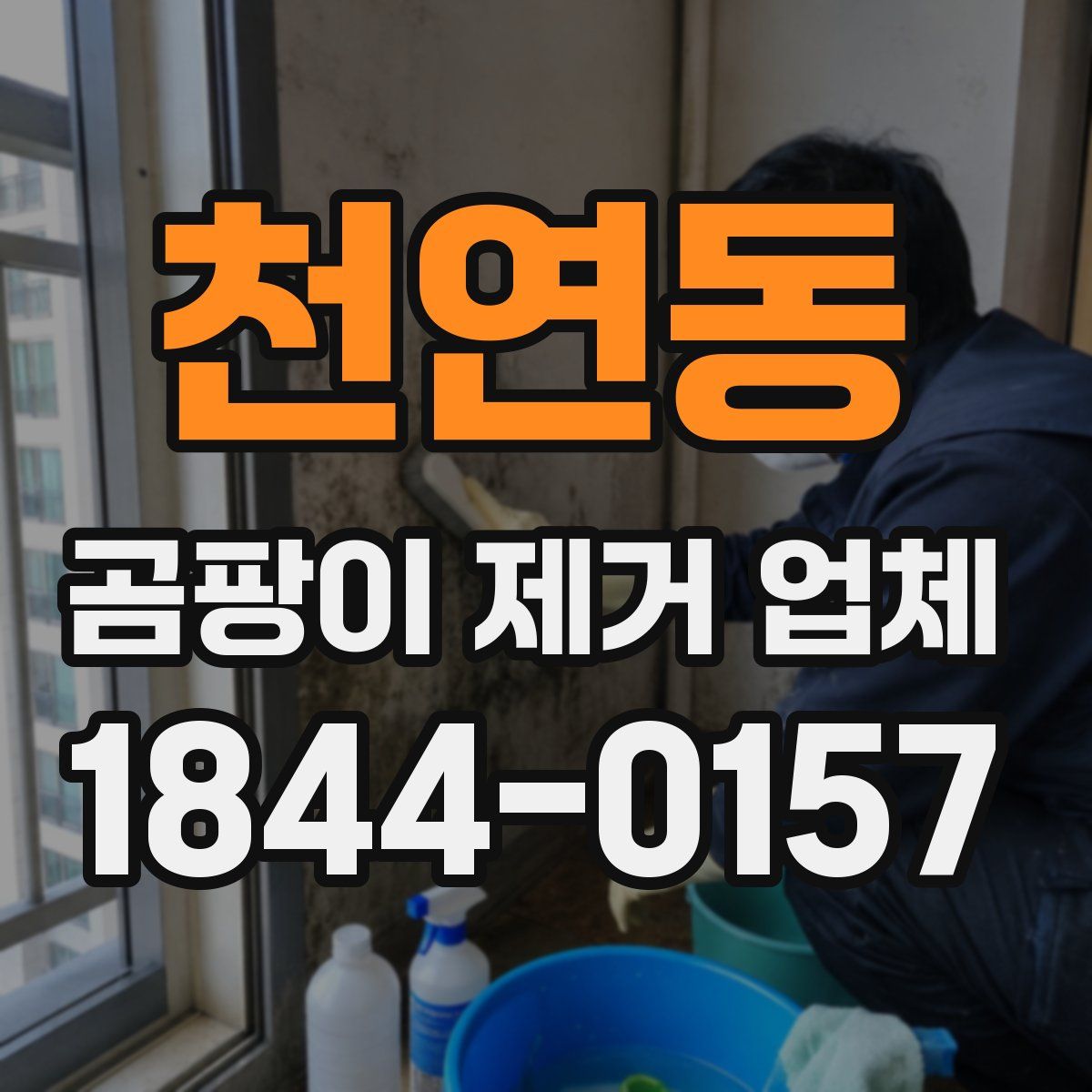 천연동 곰팡이 제거 업체