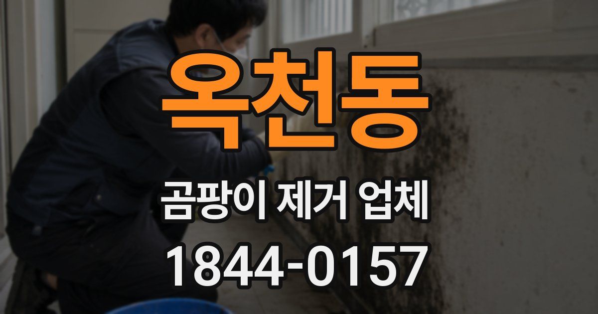 옥천동 곰팡이 제거 업체