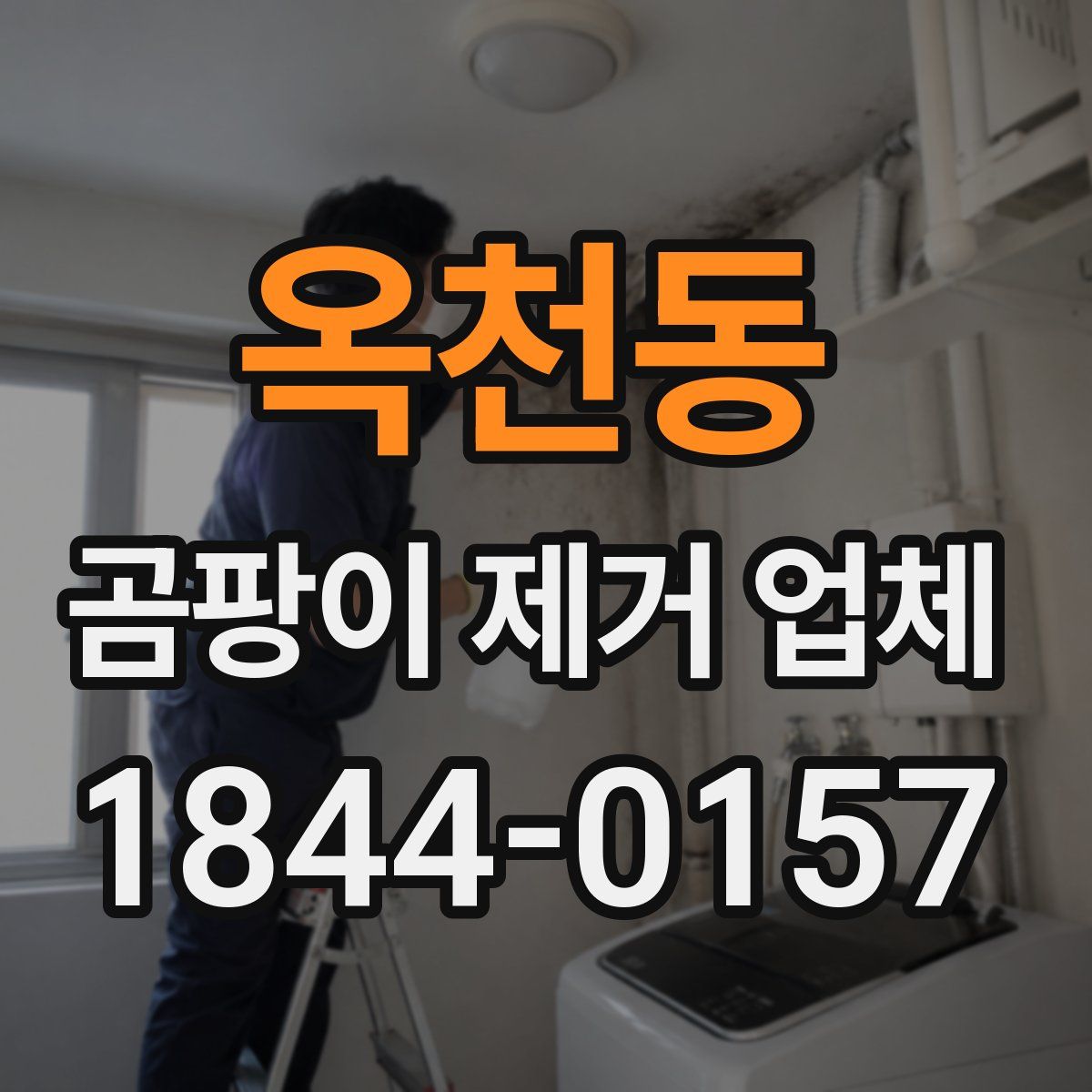 옥천동 곰팡이 제거 업체