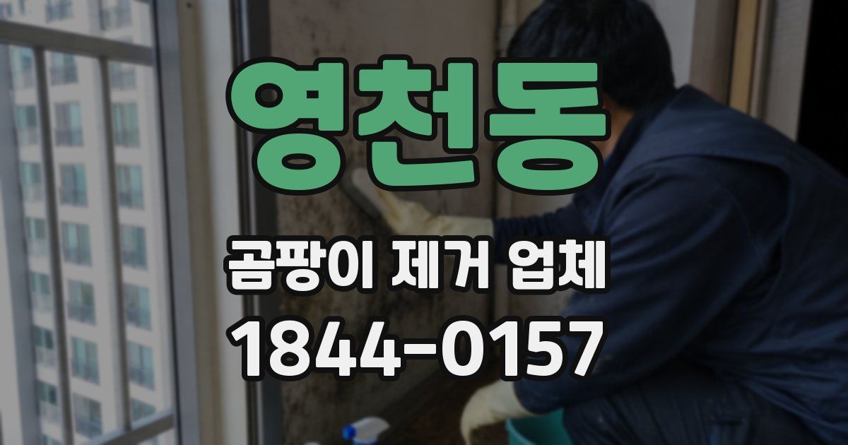 영천동 곰팡이 제거 업체