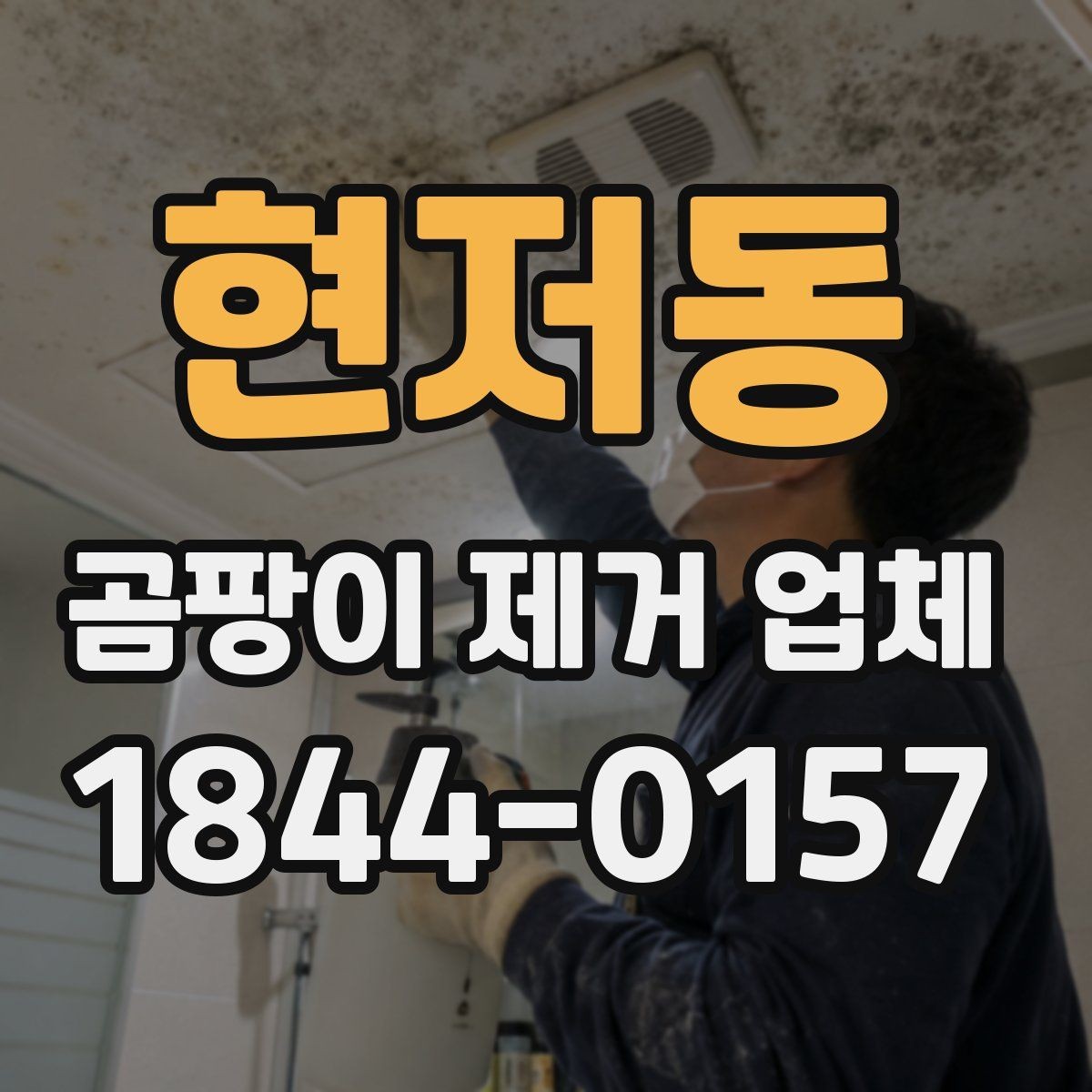 현저동 곰팡이 제거 업체 작업 과정은 어떻게 진행될까