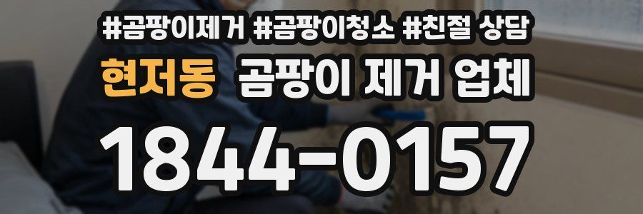 현저동 곰팡이 제거 업체