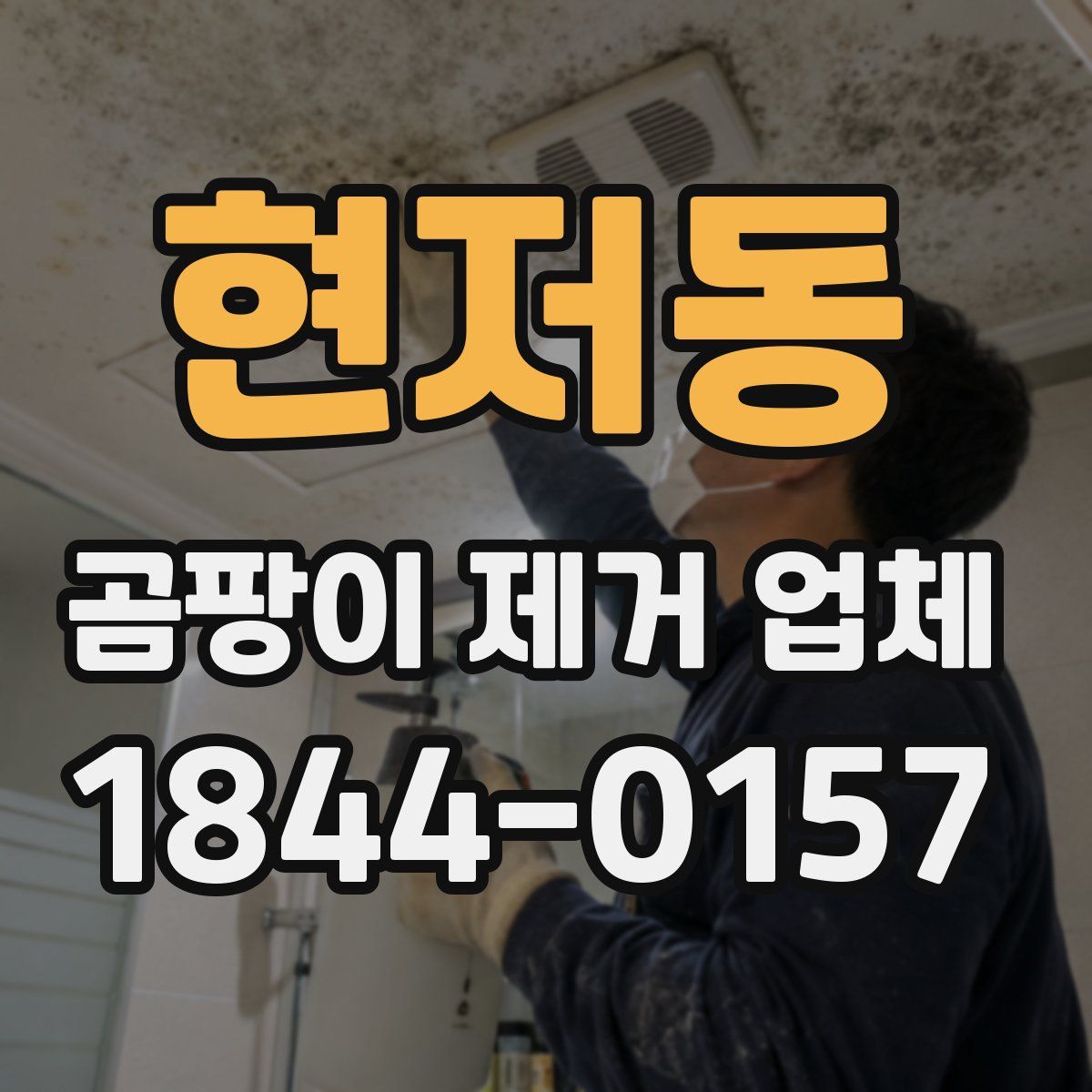 현저동 곰팡이 제거 업체