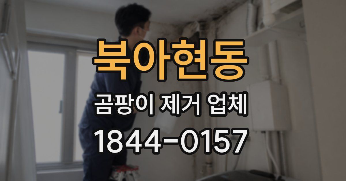 북아현동 곰팡이 제거 업체