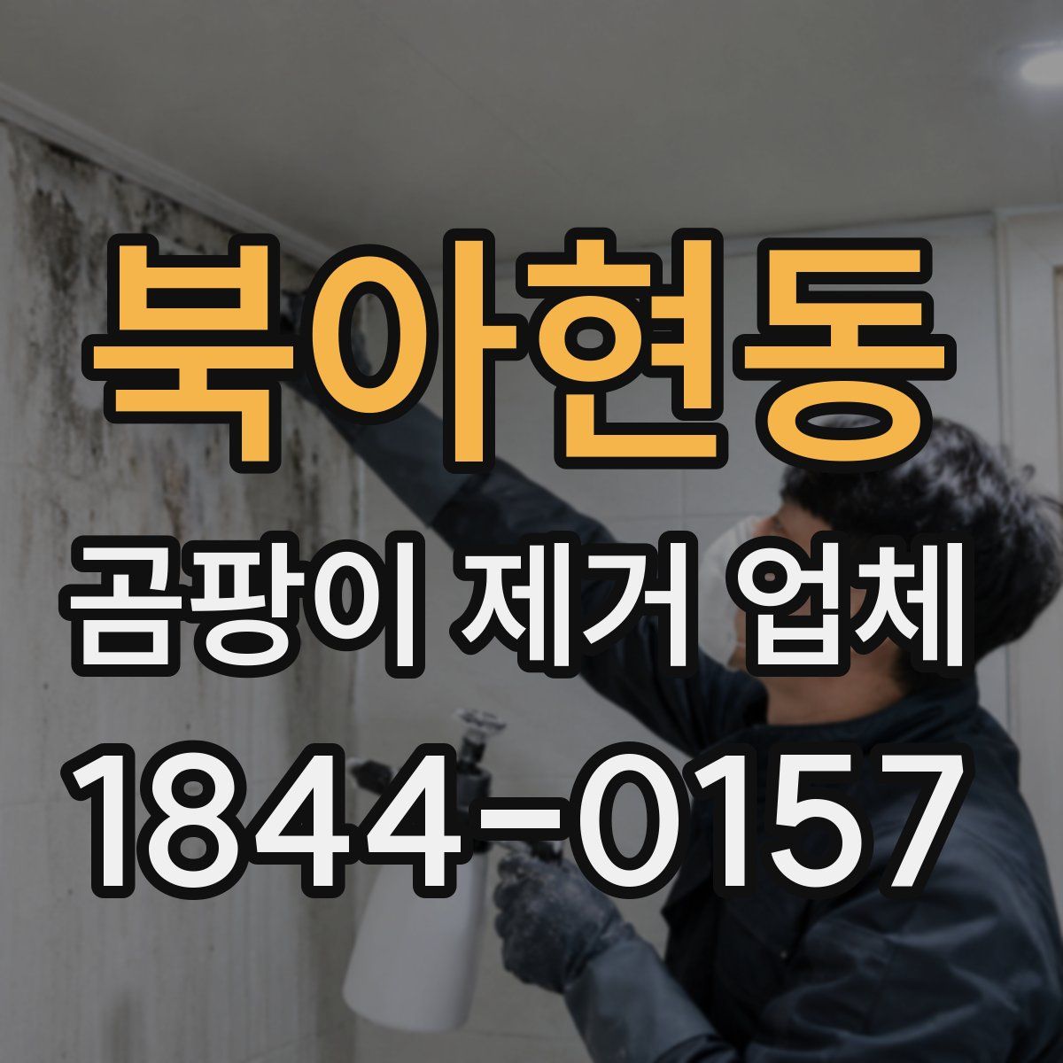 북아현동 곰팡이 제거 업체