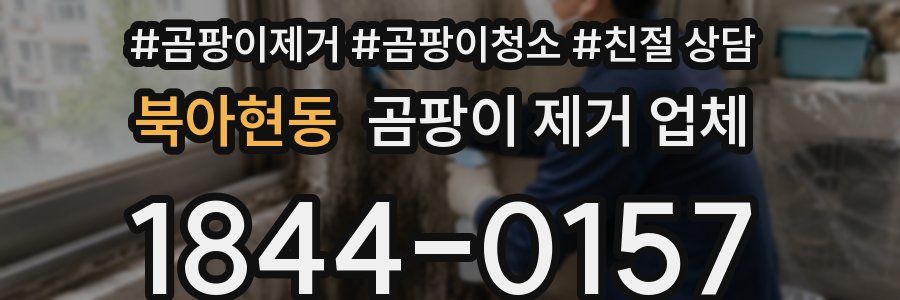 북아현동 곰팡이 제거 업체