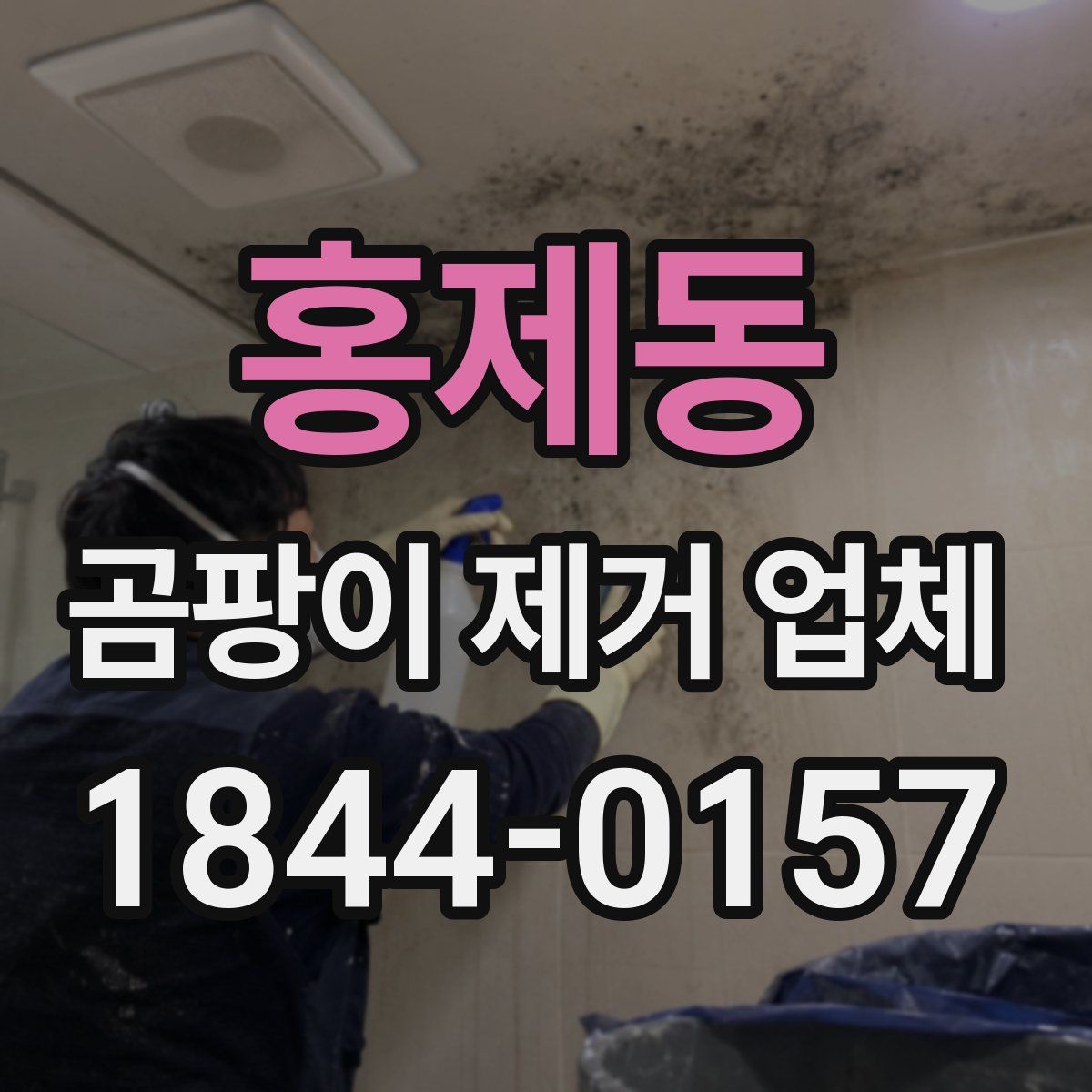 홍제동 곰팡이 제거 업체