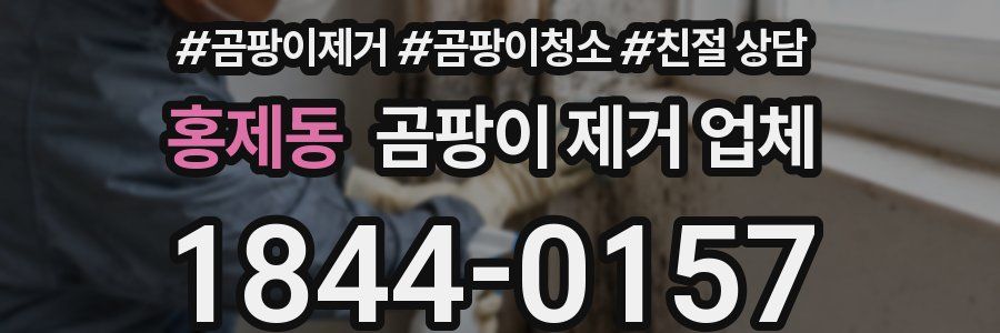홍제동 곰팡이 제거 업체