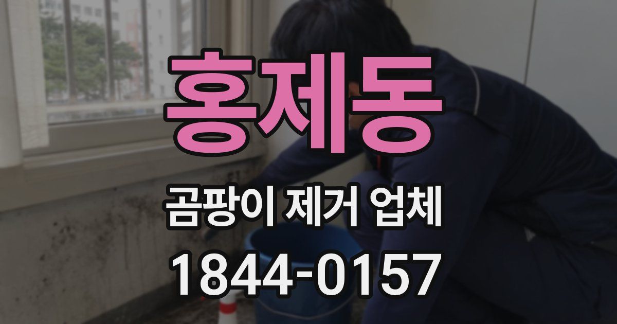 홍제동 곰팡이 제거 업체