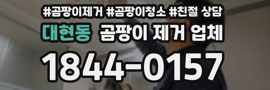 대현동 곰팡이 제거 업체