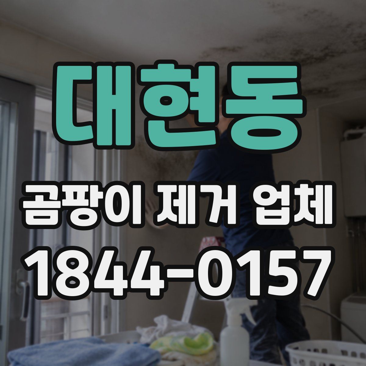대현동 곰팡이 제거 업체