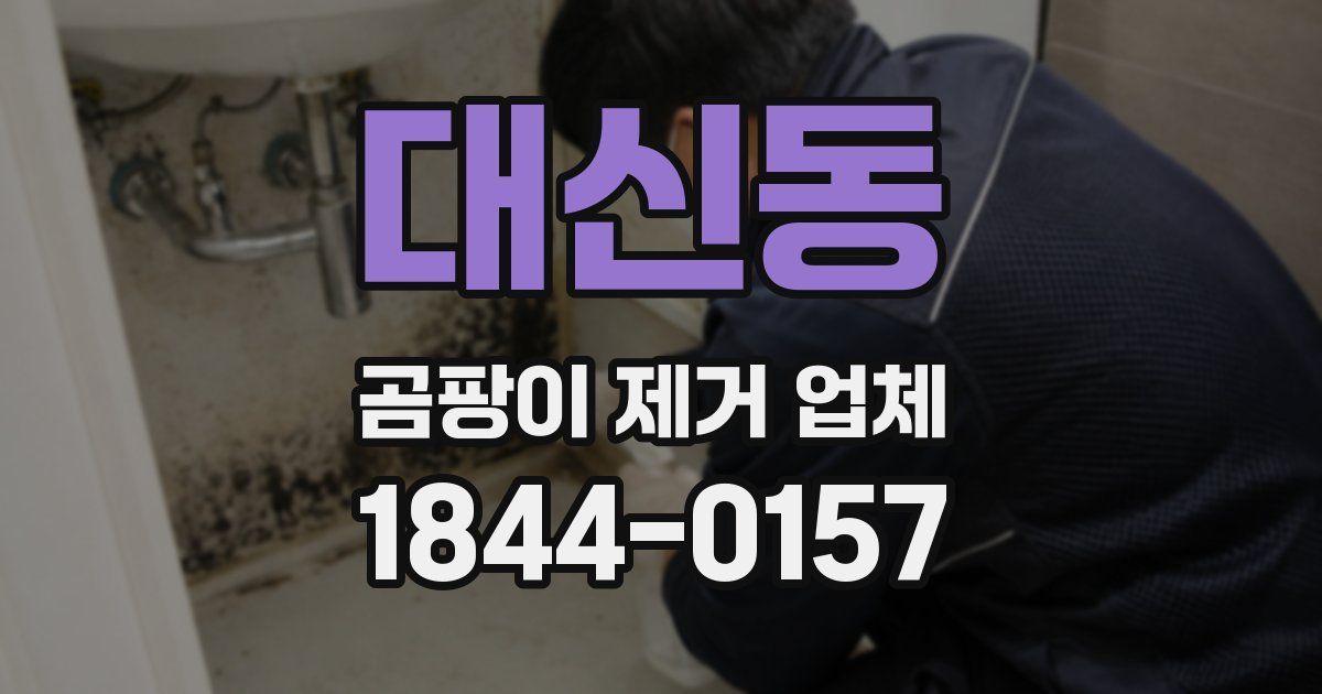 대신동 곰팡이 제거 업체