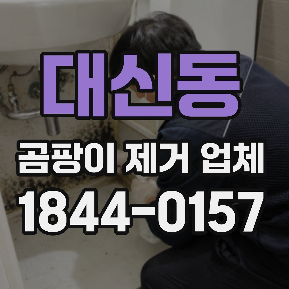대신동 곰팡이 제거 업체