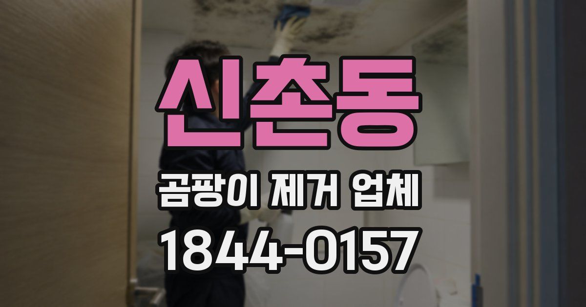 신촌동 곰팡이 제거 업체
