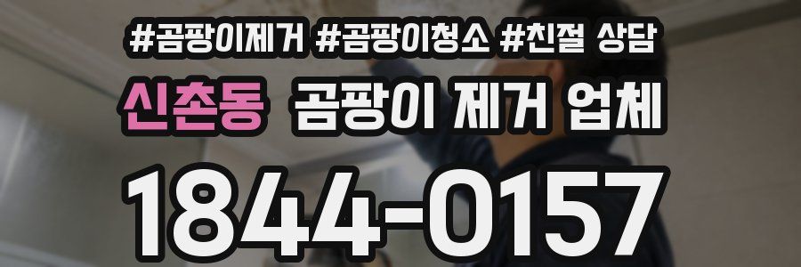 신촌동 곰팡이 제거 업체