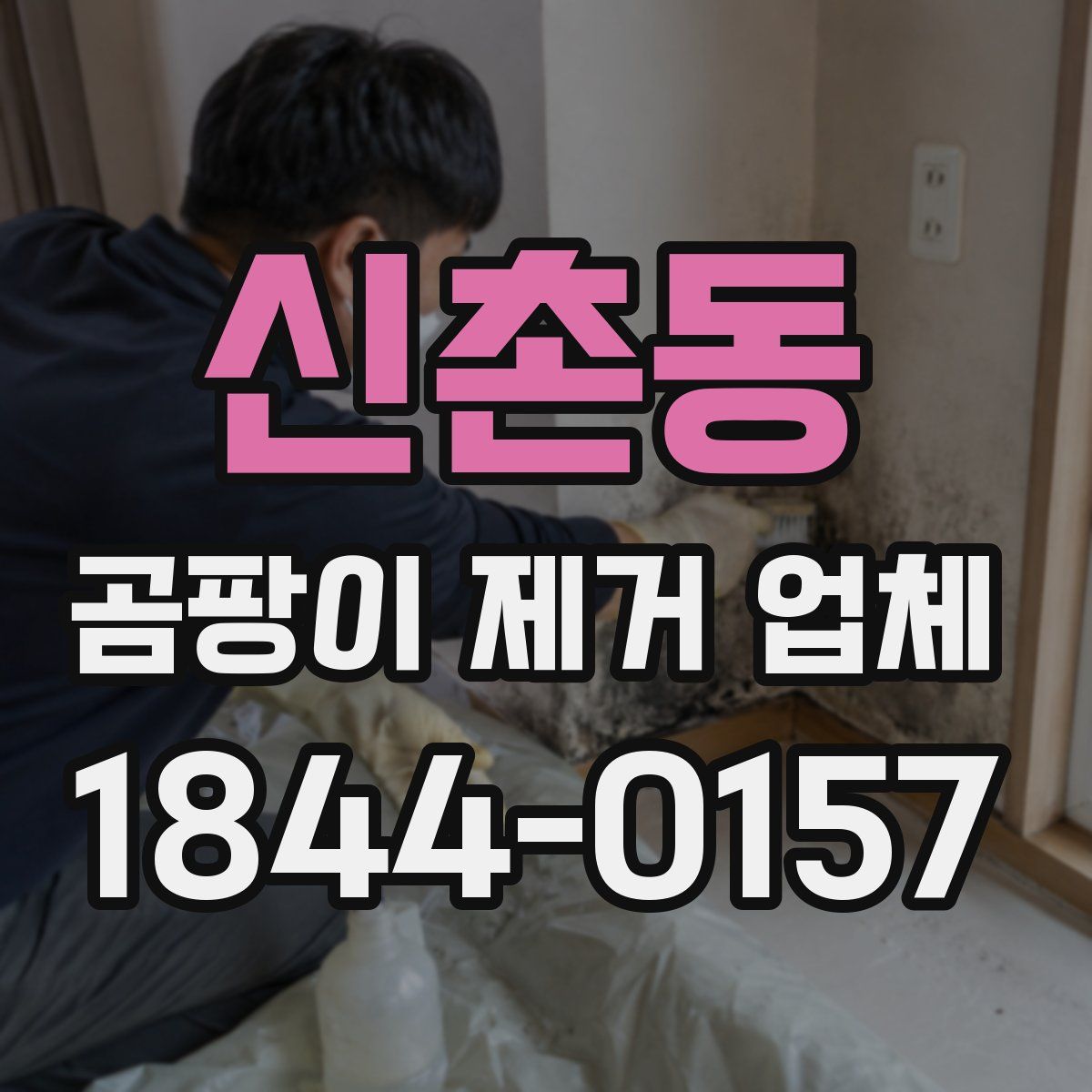 신촌동 곰팡이 제거 업체