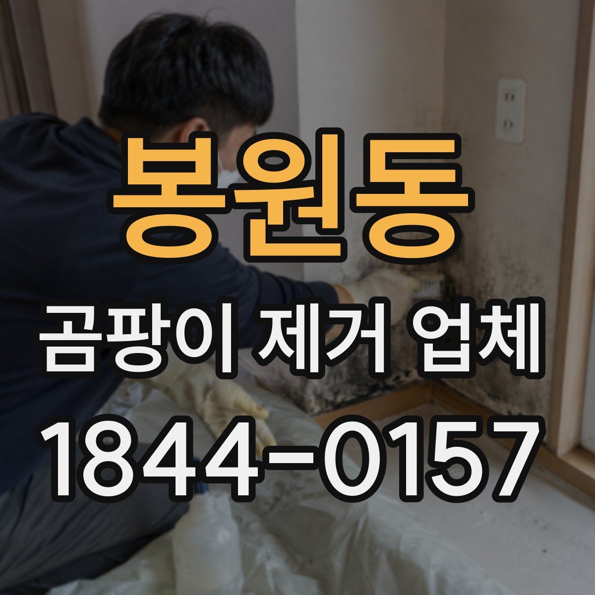 봉원동 곰팡이 제거 업체