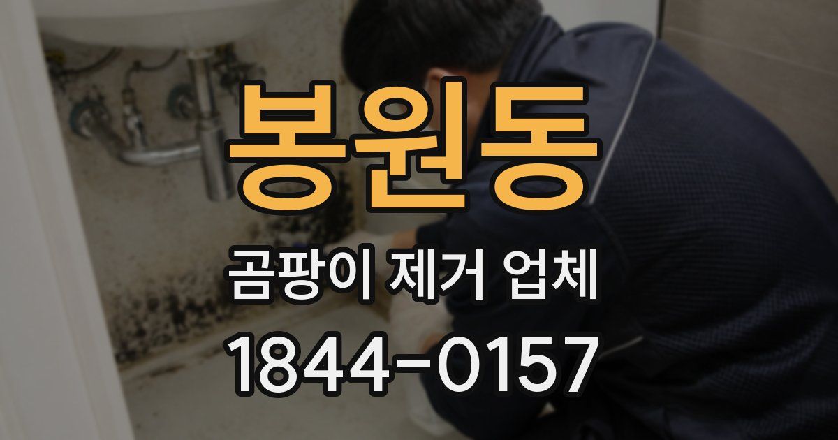 봉원동 곰팡이 제거 업체