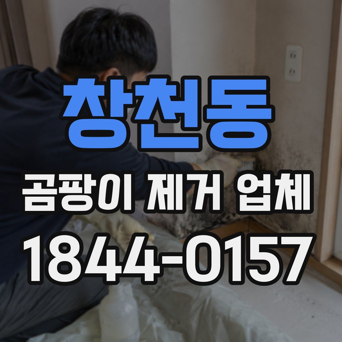 창천동 곰팡이 제거 업체