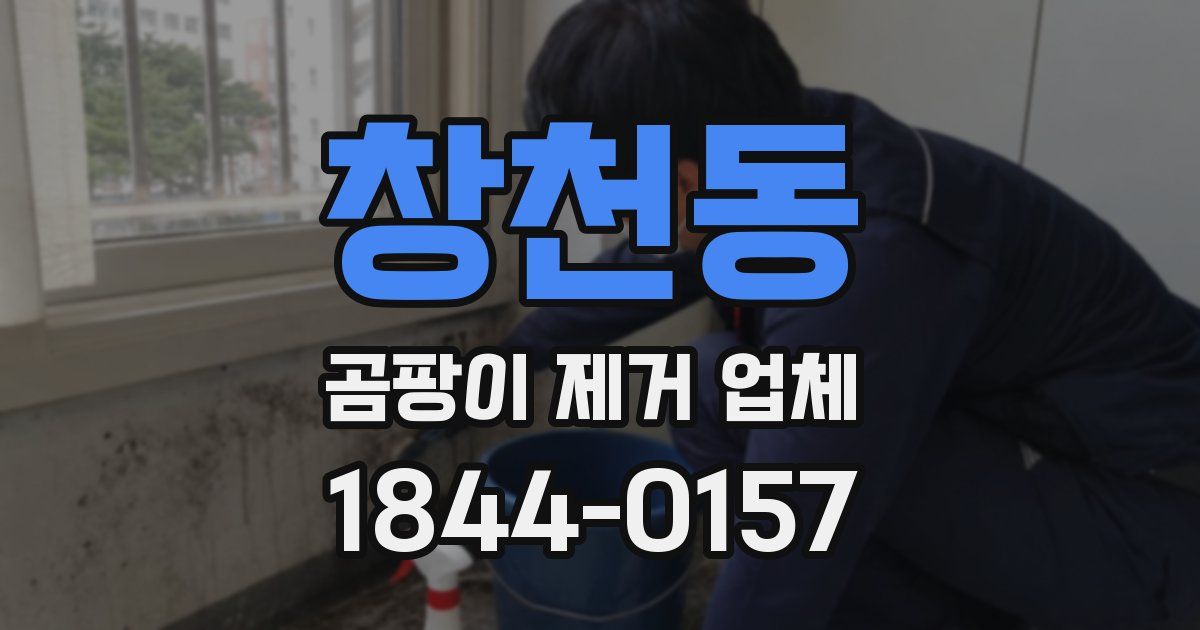 창천동 곰팡이 제거 업체