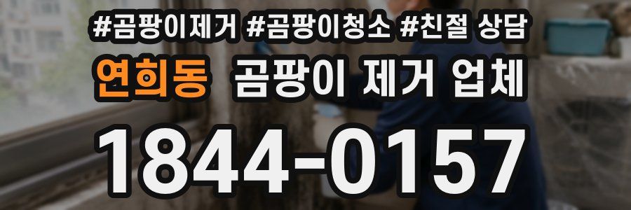 연희동 곰팡이 제거 업체