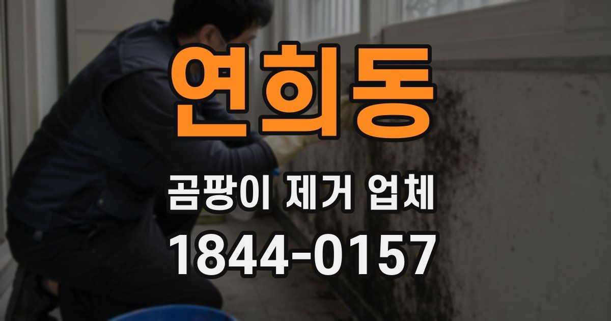 연희동 곰팡이 제거 업체