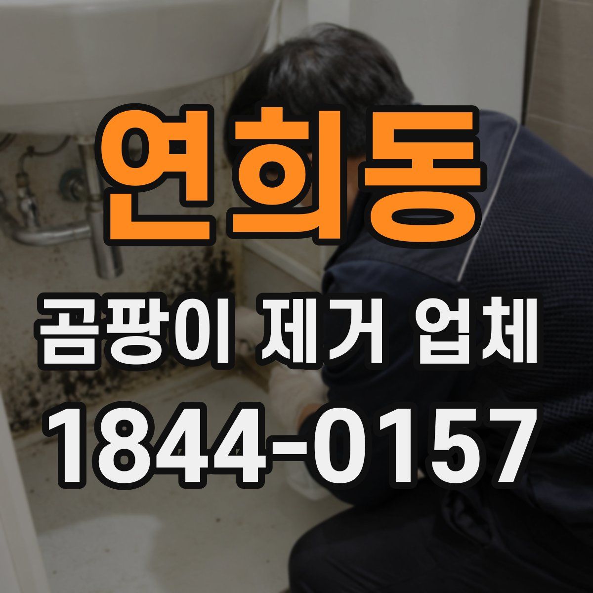 연희동 곰팡이 제거 업체