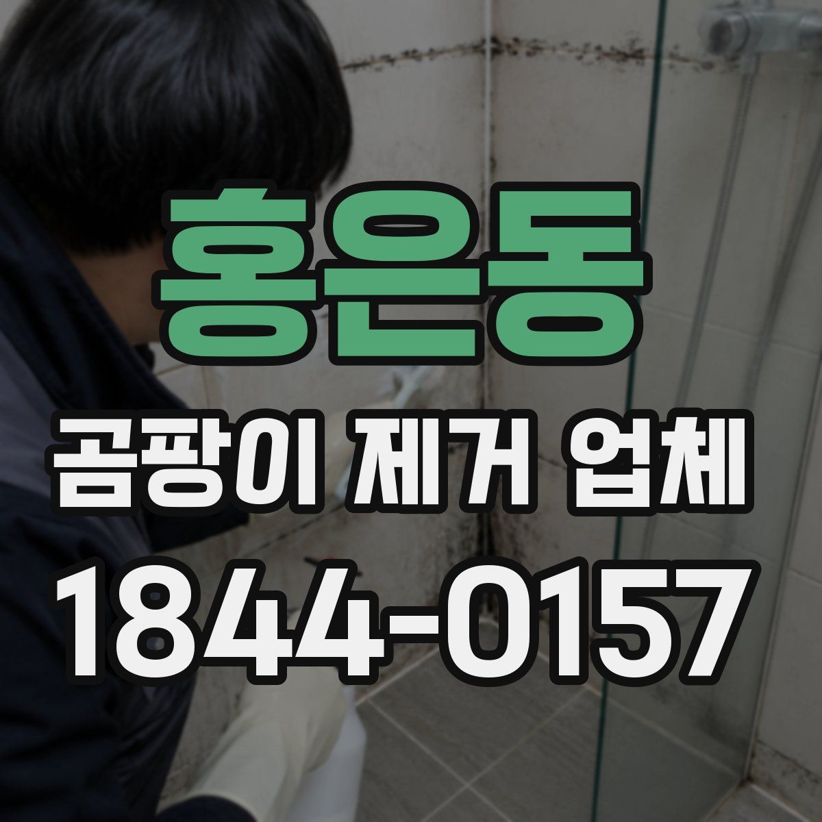 홍은동 곰팡이 제거 업체