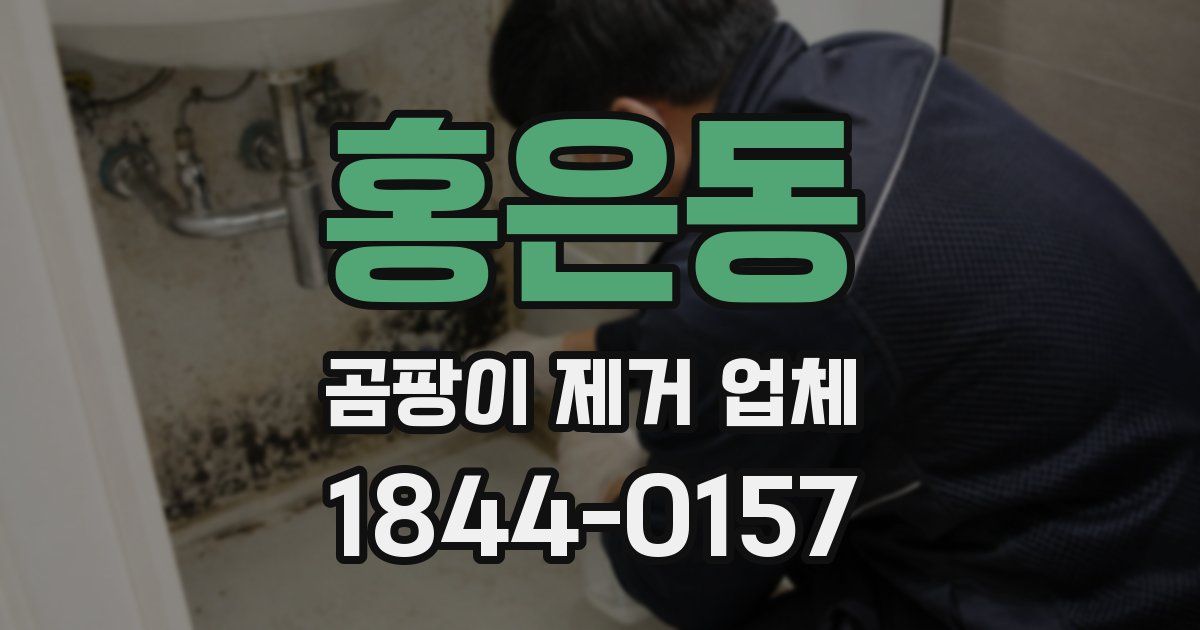 홍은동 곰팡이 제거 업체