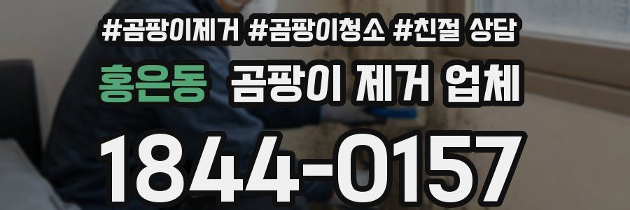 홍은동 곰팡이 제거 업체