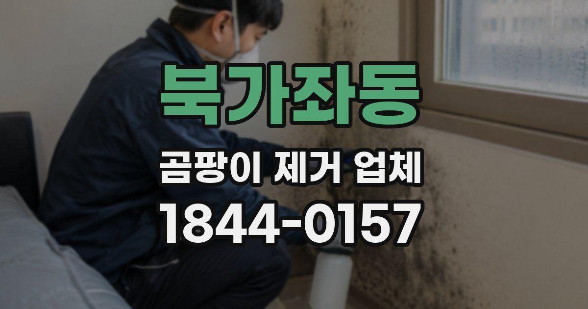 북가좌동 곰팡이 제거 업체
