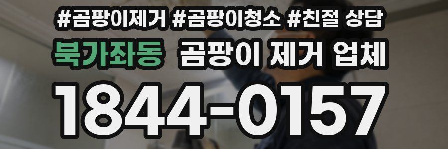 북가좌동 곰팡이 제거 업체