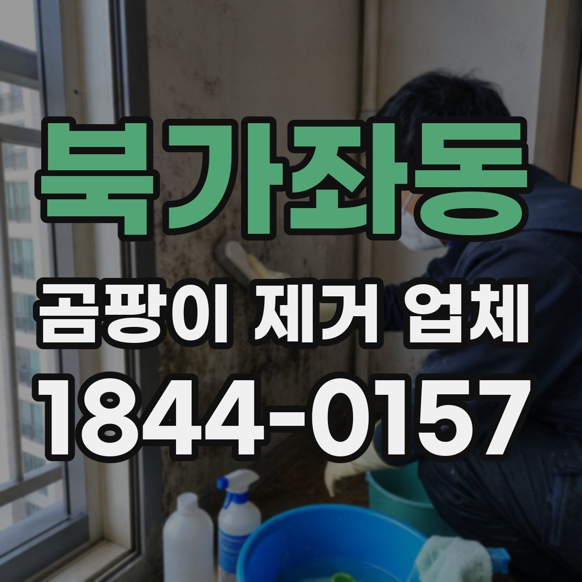 북가좌동 곰팡이 제거 업체