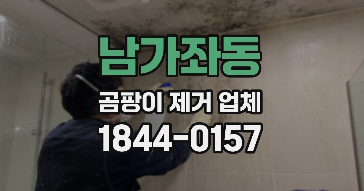남가좌동 곰팡이 제거 업체