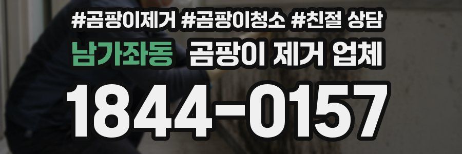 남가좌동 곰팡이 제거 업체