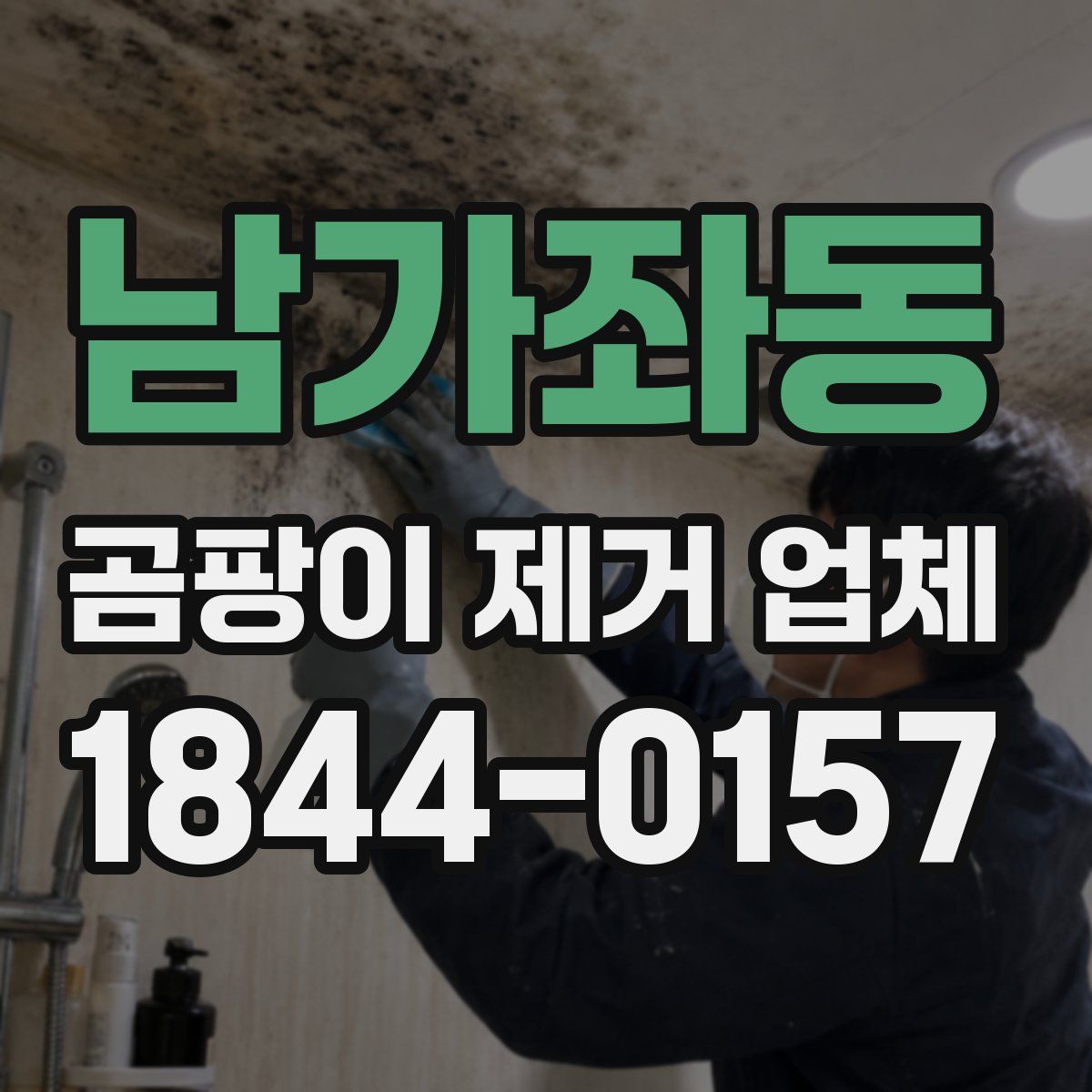 남가좌동 곰팡이 제거 업체