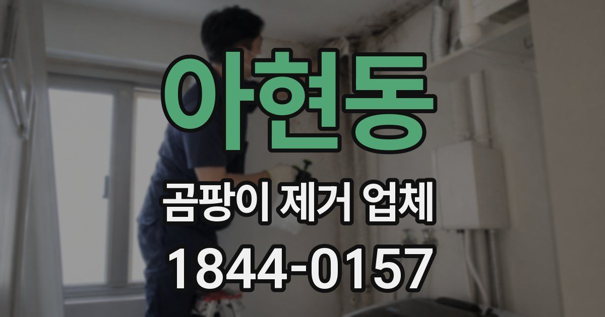 아현동 곰팡이 제거 업체