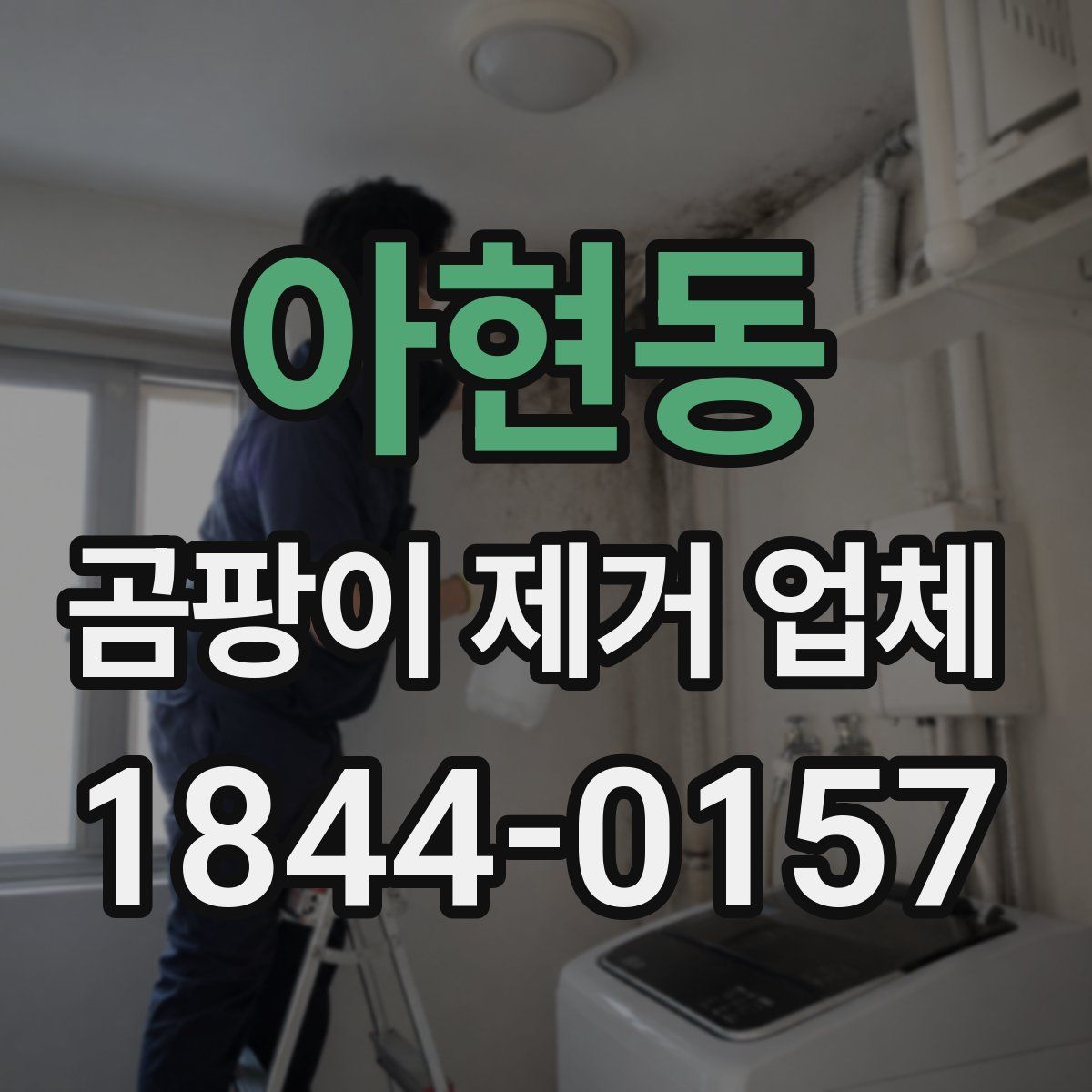 아현동 곰팡이 제거 업체